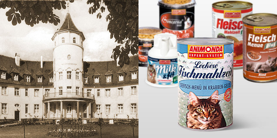 アニモンダ社のルーツ