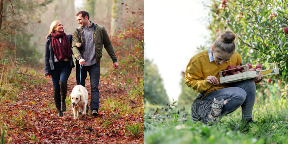 大親友であるペットたちへ最高の食事を