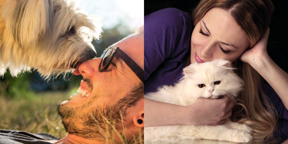 適切な栄養、健康的な食事