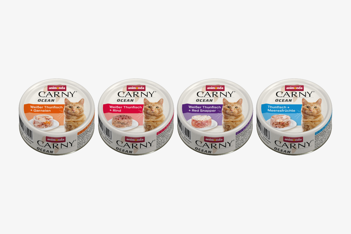 カーニー オーシャン