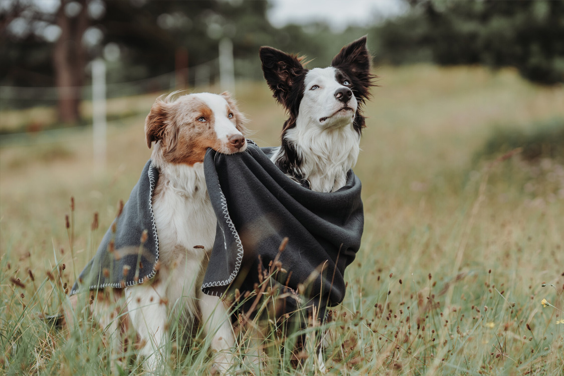 くつろぎグッズ