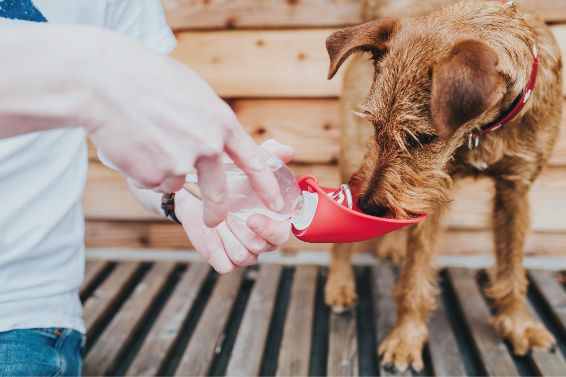 お散歩/おでかけ用品