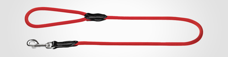 スタンダードリード