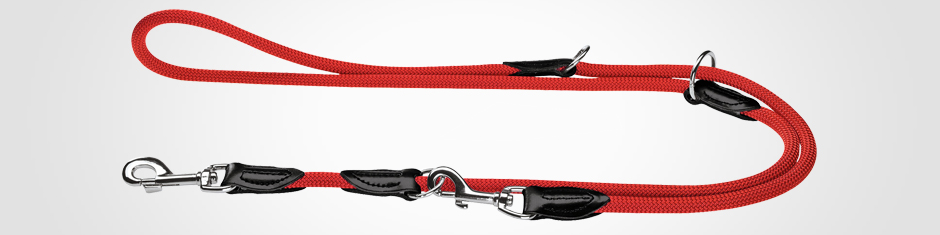 トレーニングリード