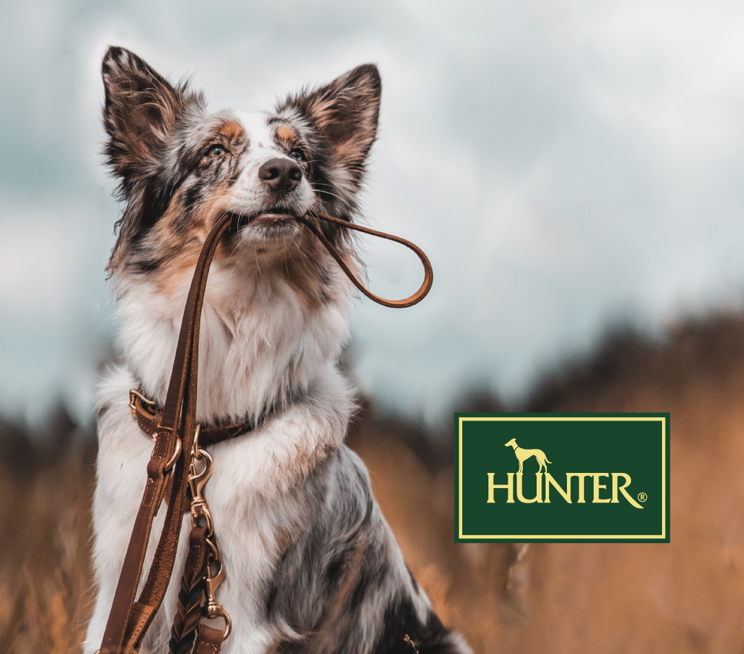 ハンター 欧州最大級 ペットブランド