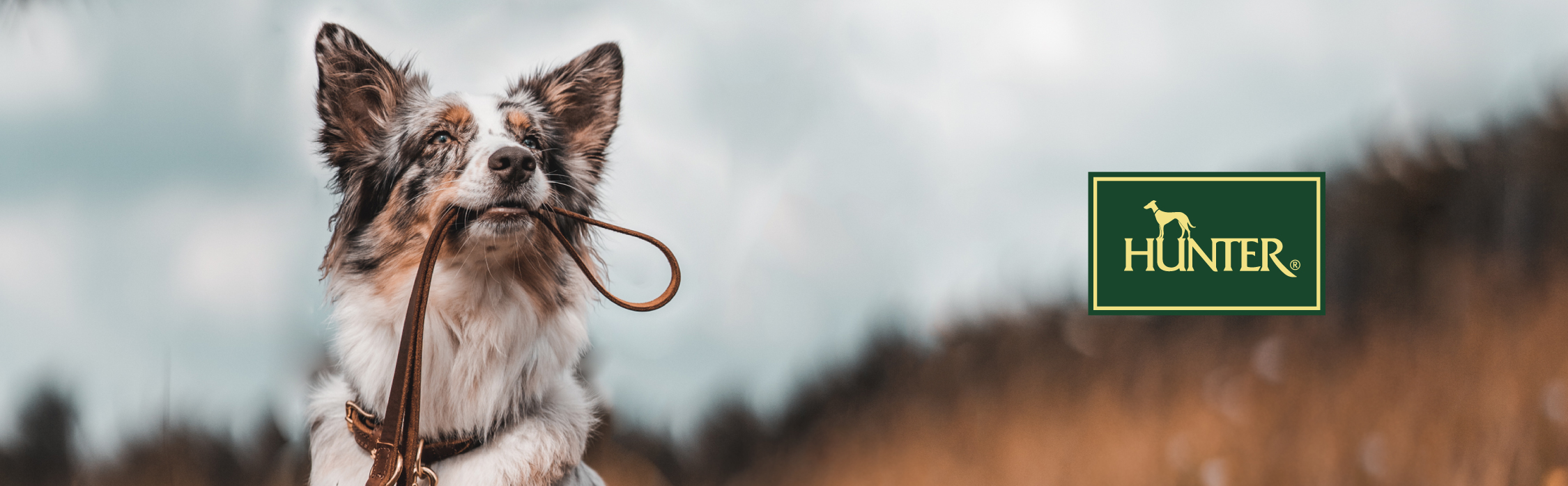 ハンター 欧州最大級 ペットブランド
