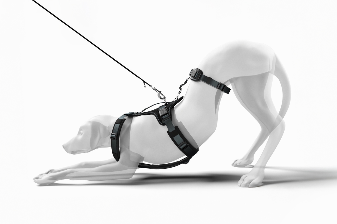 脱走防止ハーネス マルドン