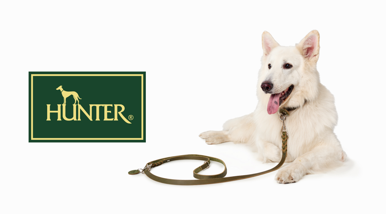 ハンター シリーズ紹介