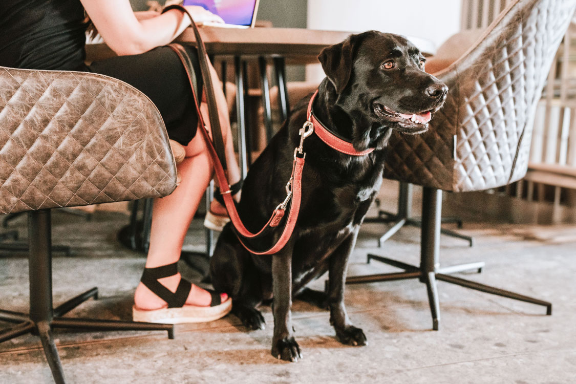 カナディアン アップ