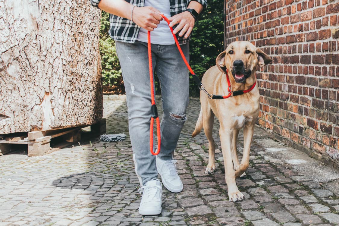 ナイロンロープ