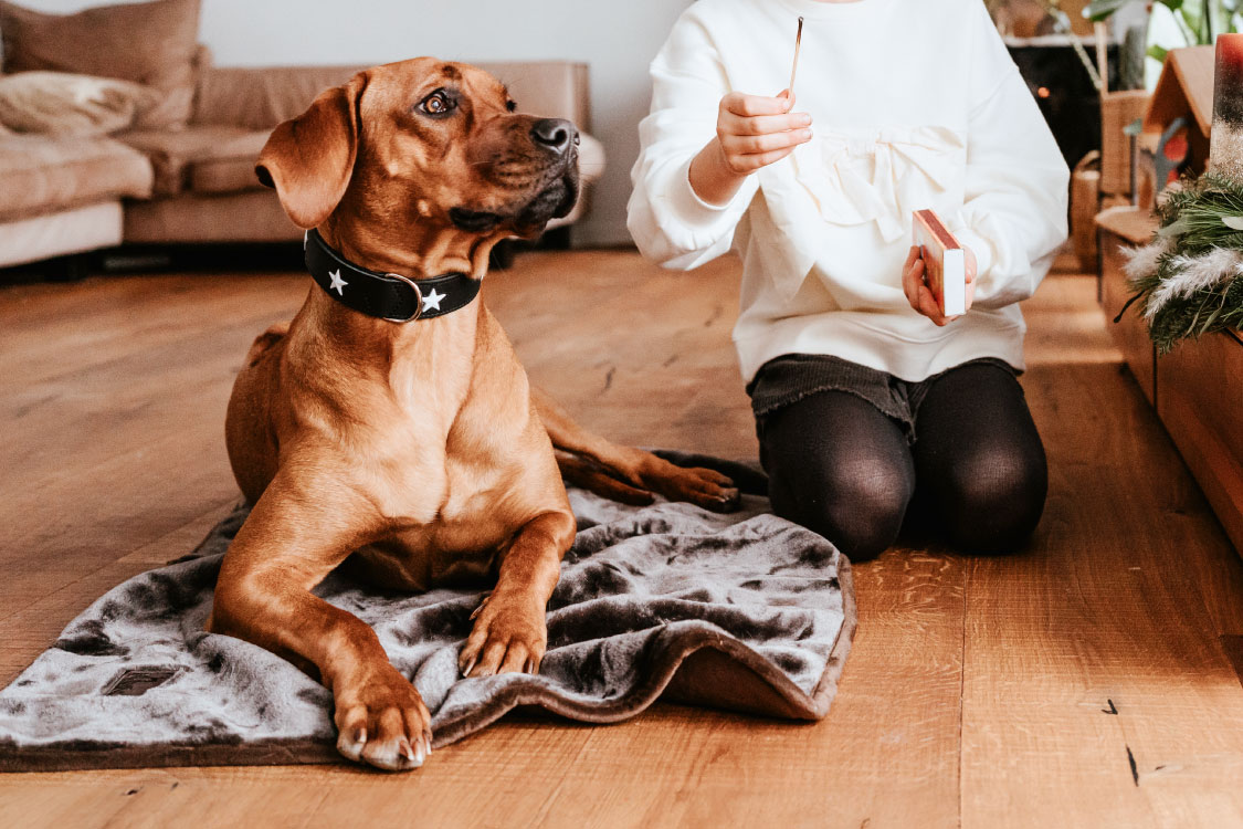 マジックスター