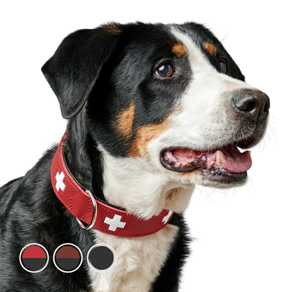 HUNTER 犬用首輪 レッド スイスクロスデザイン ハンター 犬用 首輪 スイス 47 | ジャーマンペット オンラインショップ
