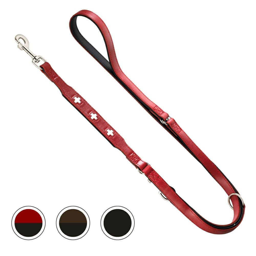 ハンター 犬用 リード トレーニングリード コンビニエンス 20/200