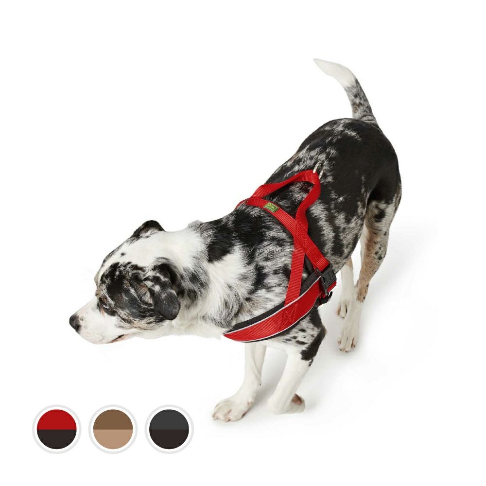 ハンター 犬用 ハーネス レーシング M-L | ジャーマンペット