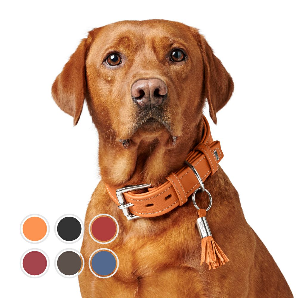 000000000928-01.jpg?size=m&w=