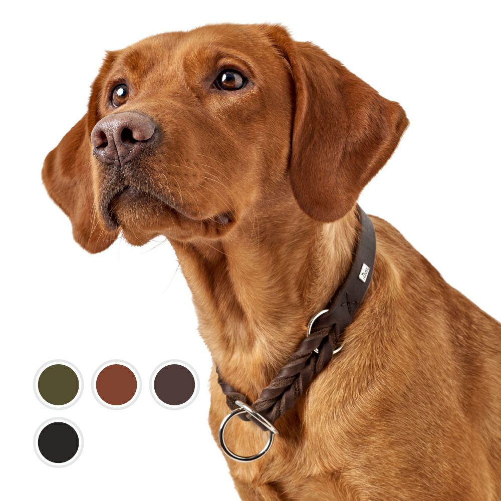 ハンター 犬用 首輪 トレーニングカラー ソリッド エデュケイション L