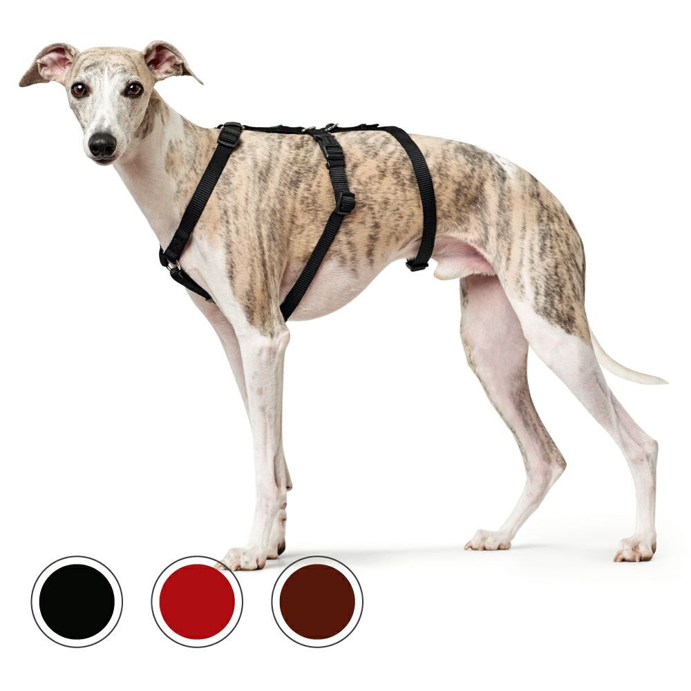 ハンター 犬用 ハーネス 脱走防止ハーネス XS-S | ジャーマンペット