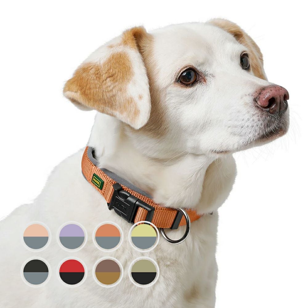 ハンター 犬用 首輪 ネオプレン ヴァリオプラス S-M/2.0 | ジャーマン