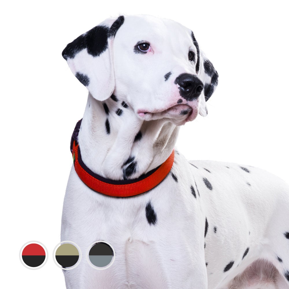 ハンター 犬用 首輪 ネオプレン ヴァリオプラス M-L/2.5 | ジャーマン
