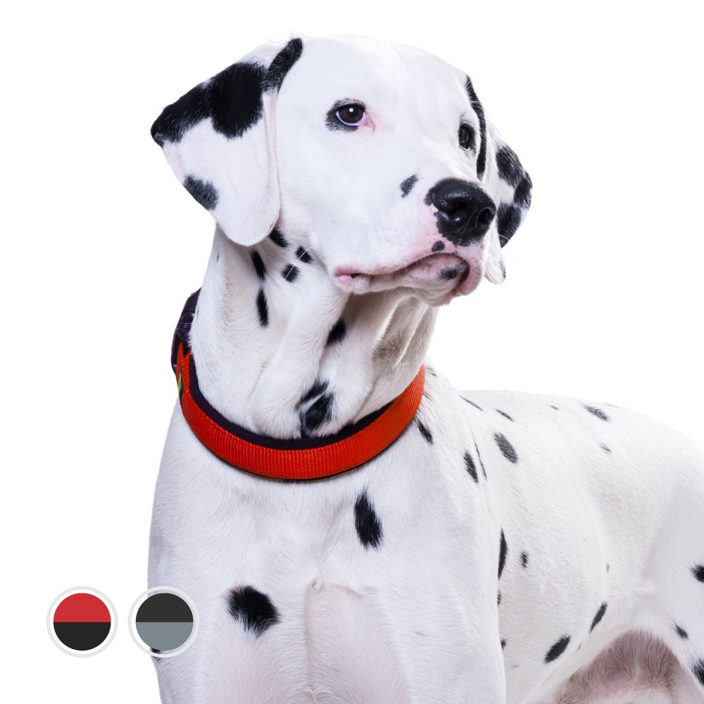 ハンター 犬用 首輪 ネオプレン ヴァリオプラス M-L/2.0 | ジャーマン