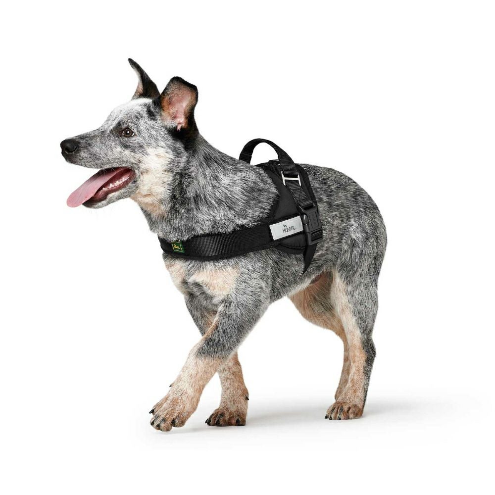 ハンター 犬用 ハーネス レンジャー L(46385) | ジャーマンペット