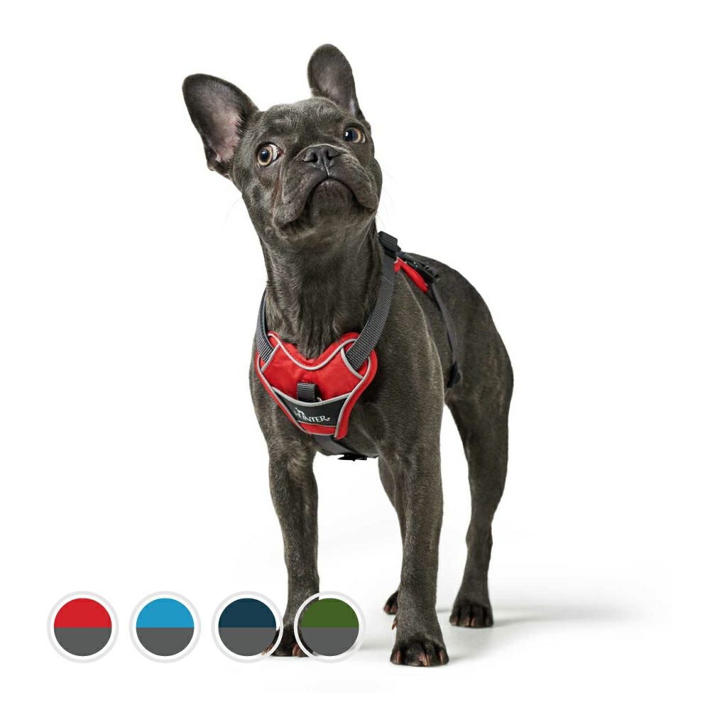 ハンター 犬用 ハーネス 脱走防止ハーネス マルドン 34-49/XS