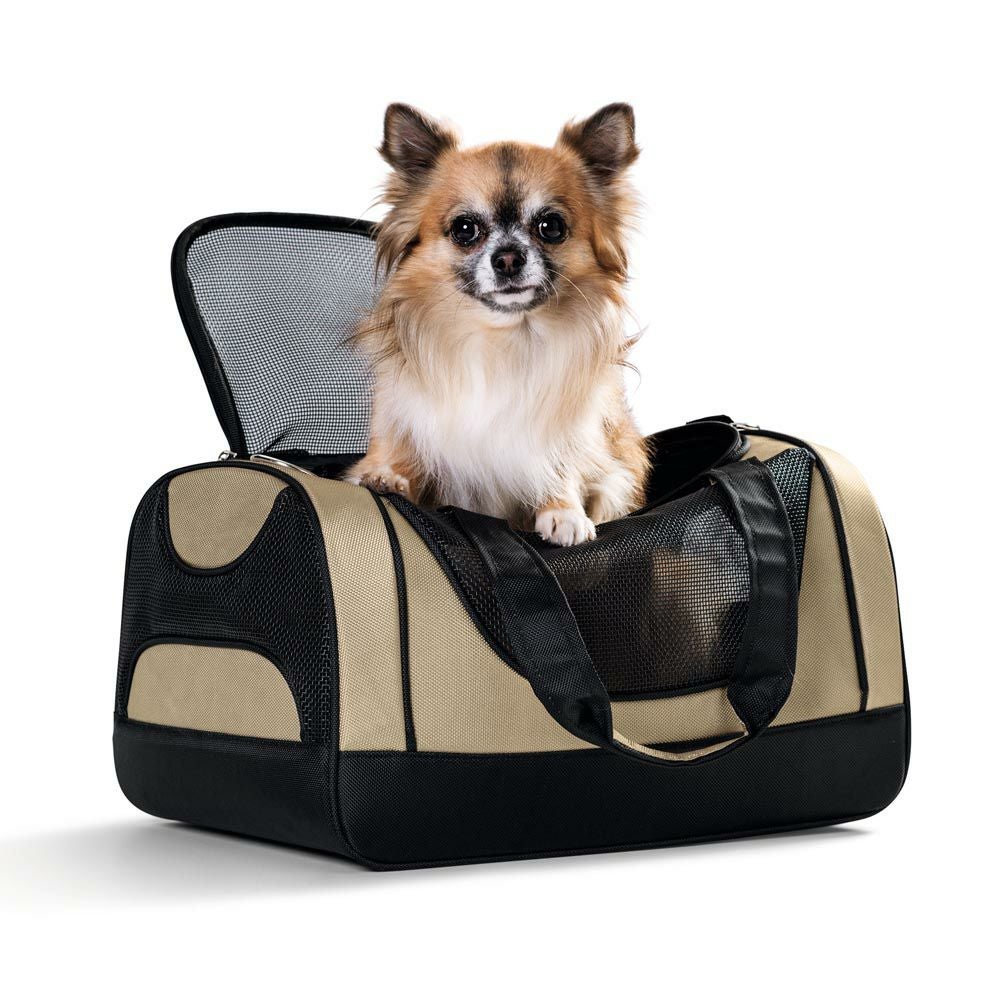 000000002180-01.jpg?size=m&w=