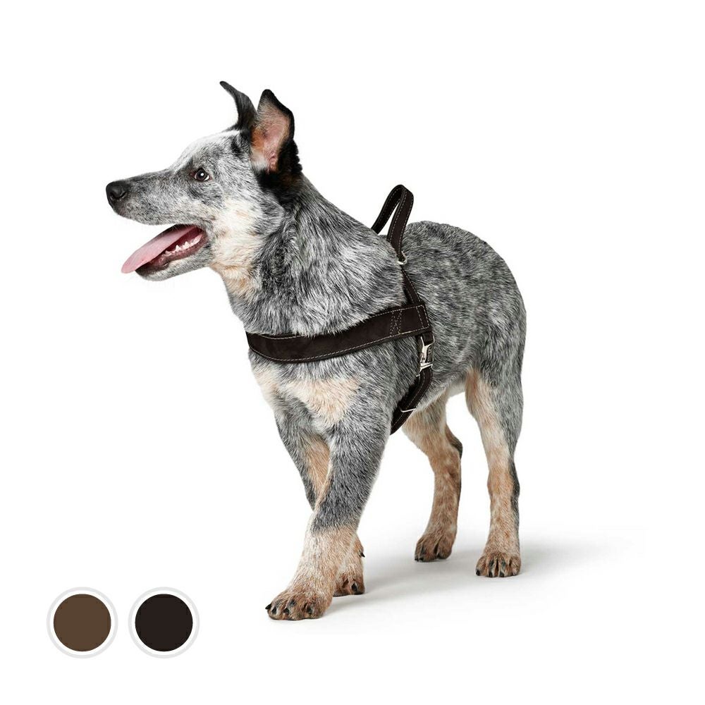ハンター 犬用 ハーネス 脱走防止ハーネス マルドン 53-71/M
