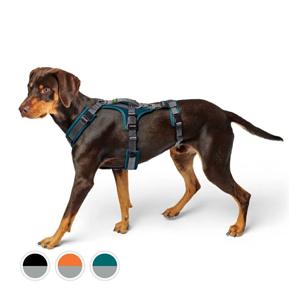 ハンター 犬用 ハーネス 脱走防止ハーネス マルドン 60-91/M-L