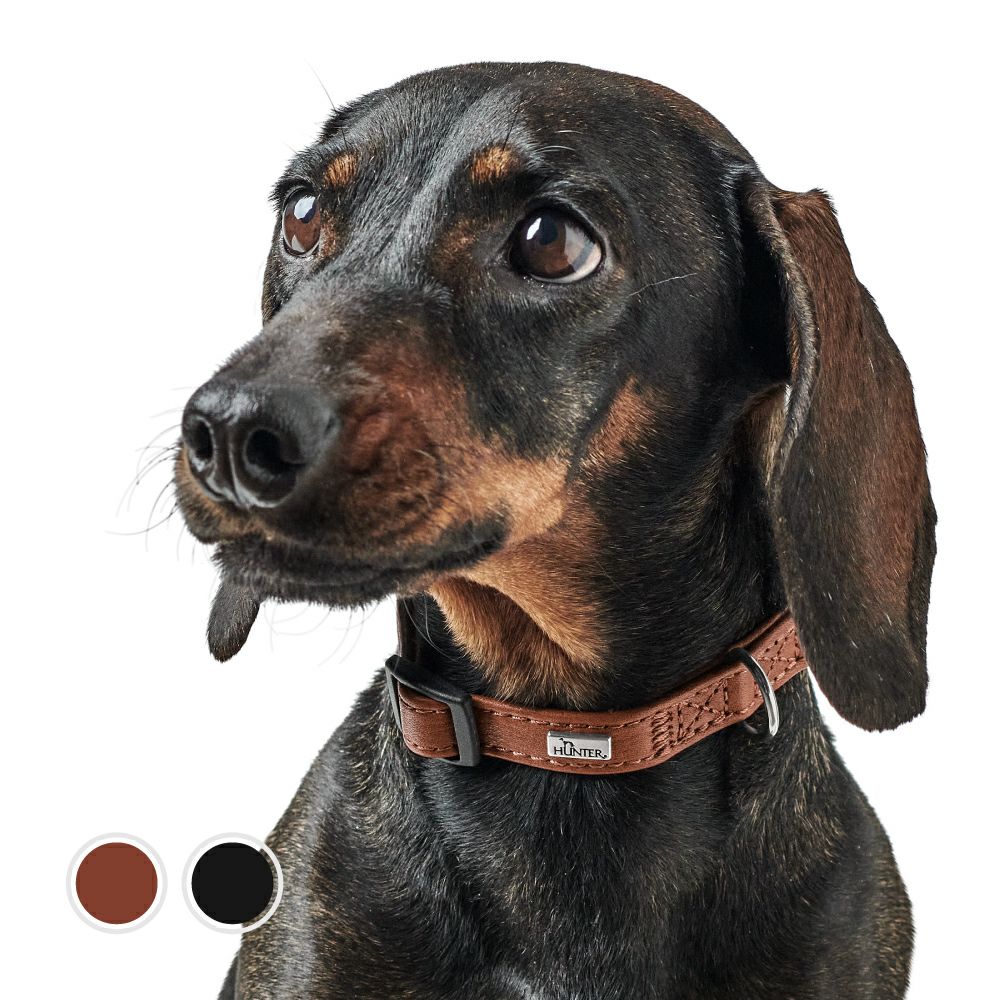 ハンター 犬用 首輪 カナディアン アップ プチ 28-36/S/2 | ジャーマン