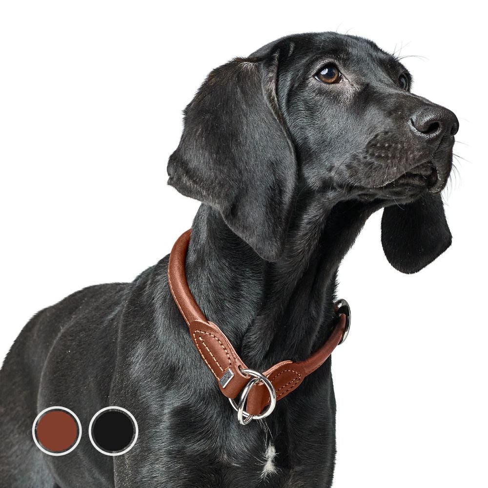 ハンター 犬用 首輪 スイス 50 | ジャーマンペット オンラインショップ