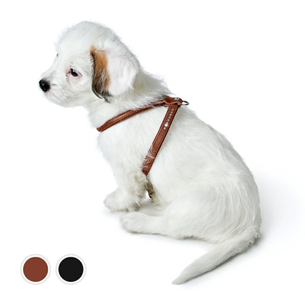 ハンター 犬用 ハーネス カナディアン アップ ラウンド＆ソフト 45-51