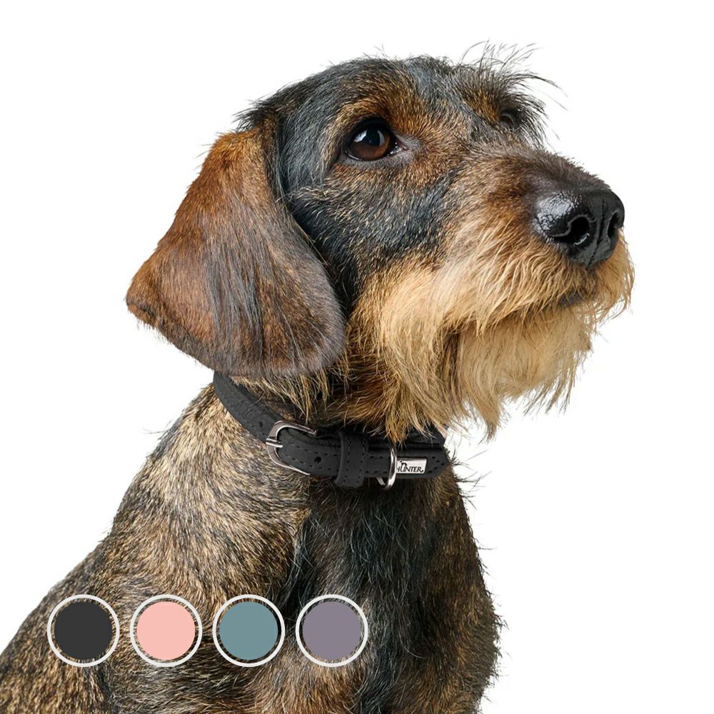 ハンター 犬用 首輪 カナディアン アップ ラウンド＆ソフト 32/XS