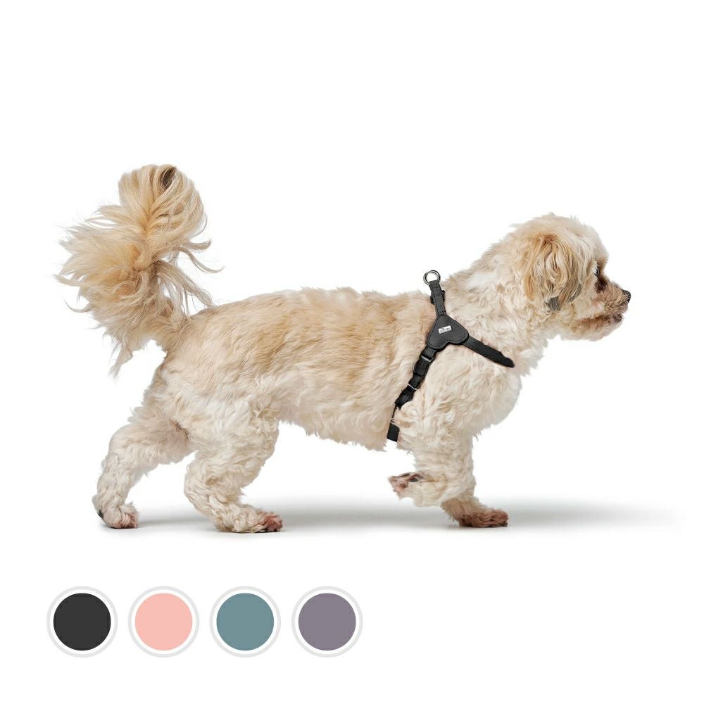 ハンター 犬用 ハーネス ソーホー ミニ XS-S | ジャーマンペット