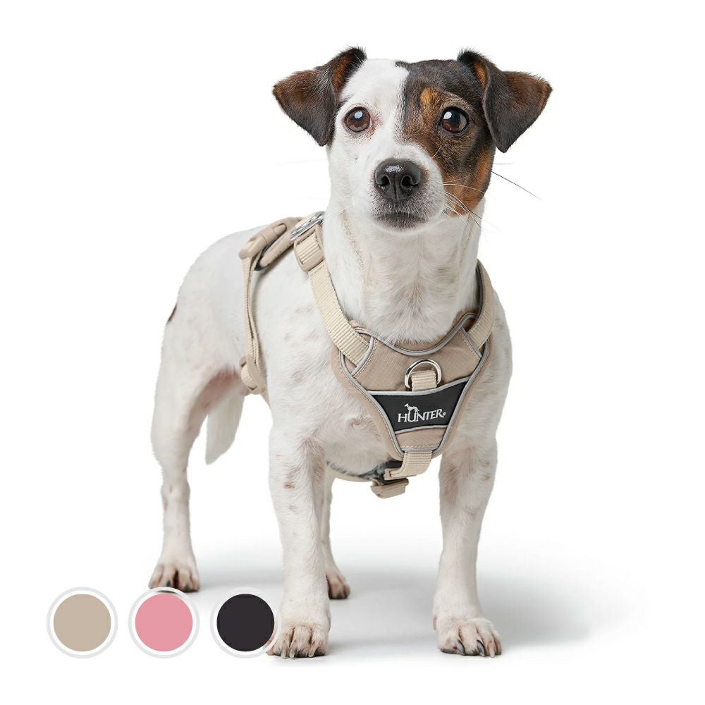 ハンター 犬用 ハーネス ディヴォ アップ 45-56/S | ジャーマンペット