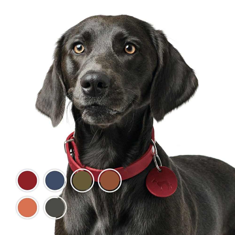 2本セット　新品！HUNTER ハンター　ドイツ製　ドッグチョーカー　犬用　首輪 ハンター 犬用 首輪 カナディアン アップ ラウンド＆ソフト 55/M-L