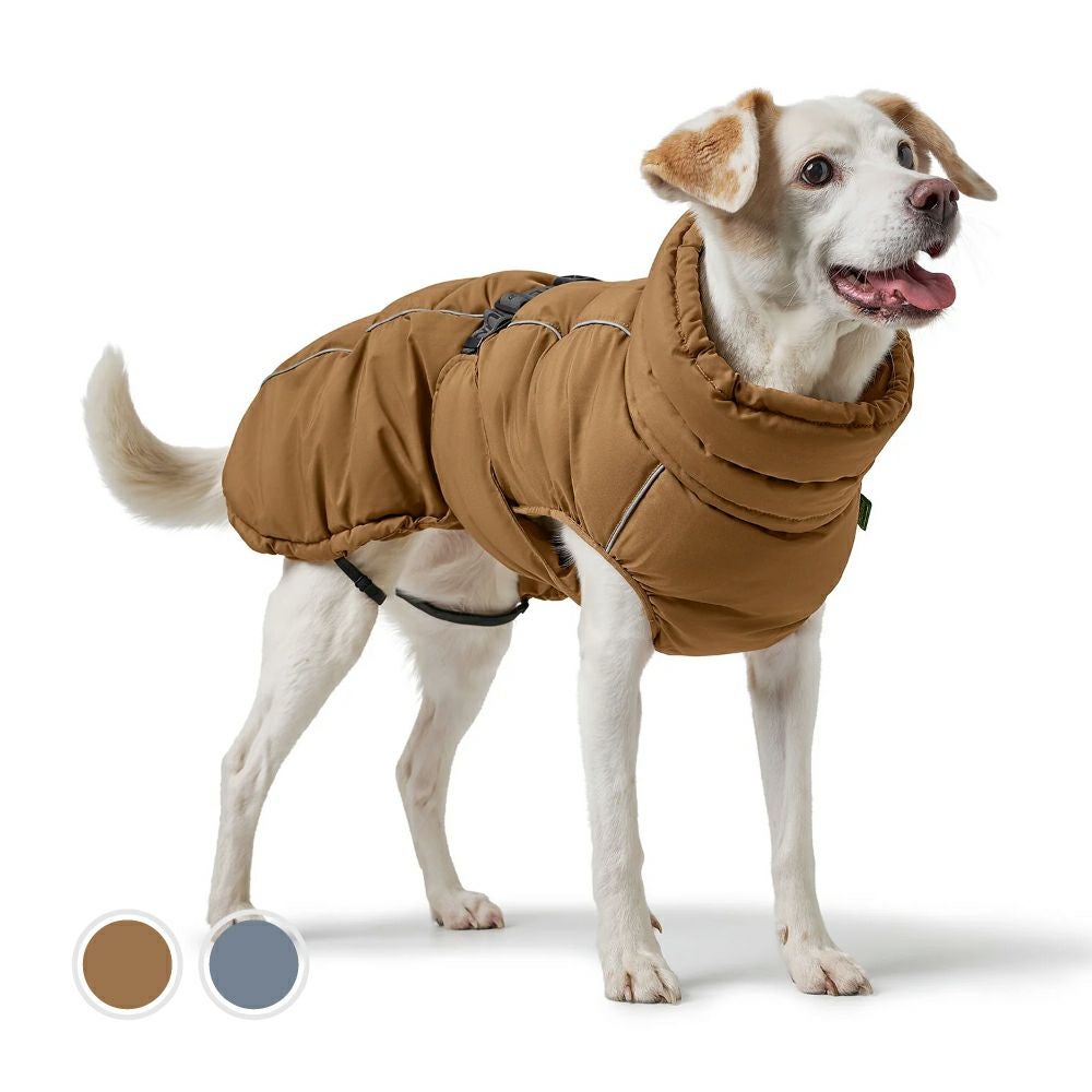 ハンター 犬用 服 コート パクソン 65 | ジャーマンペット オンライン