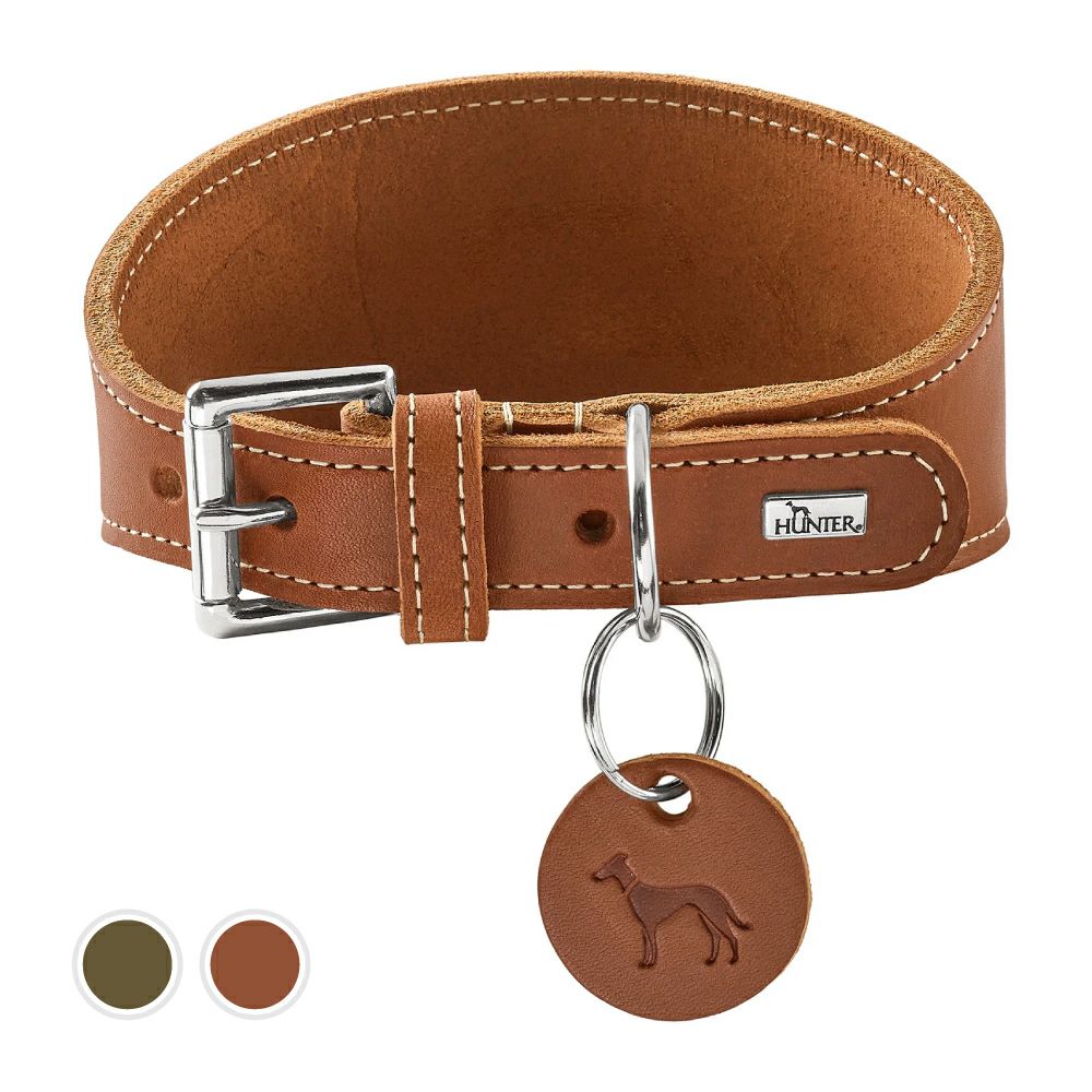 ハンター 犬用 首輪 スイス 37 | ジャーマンペット オンラインショップ