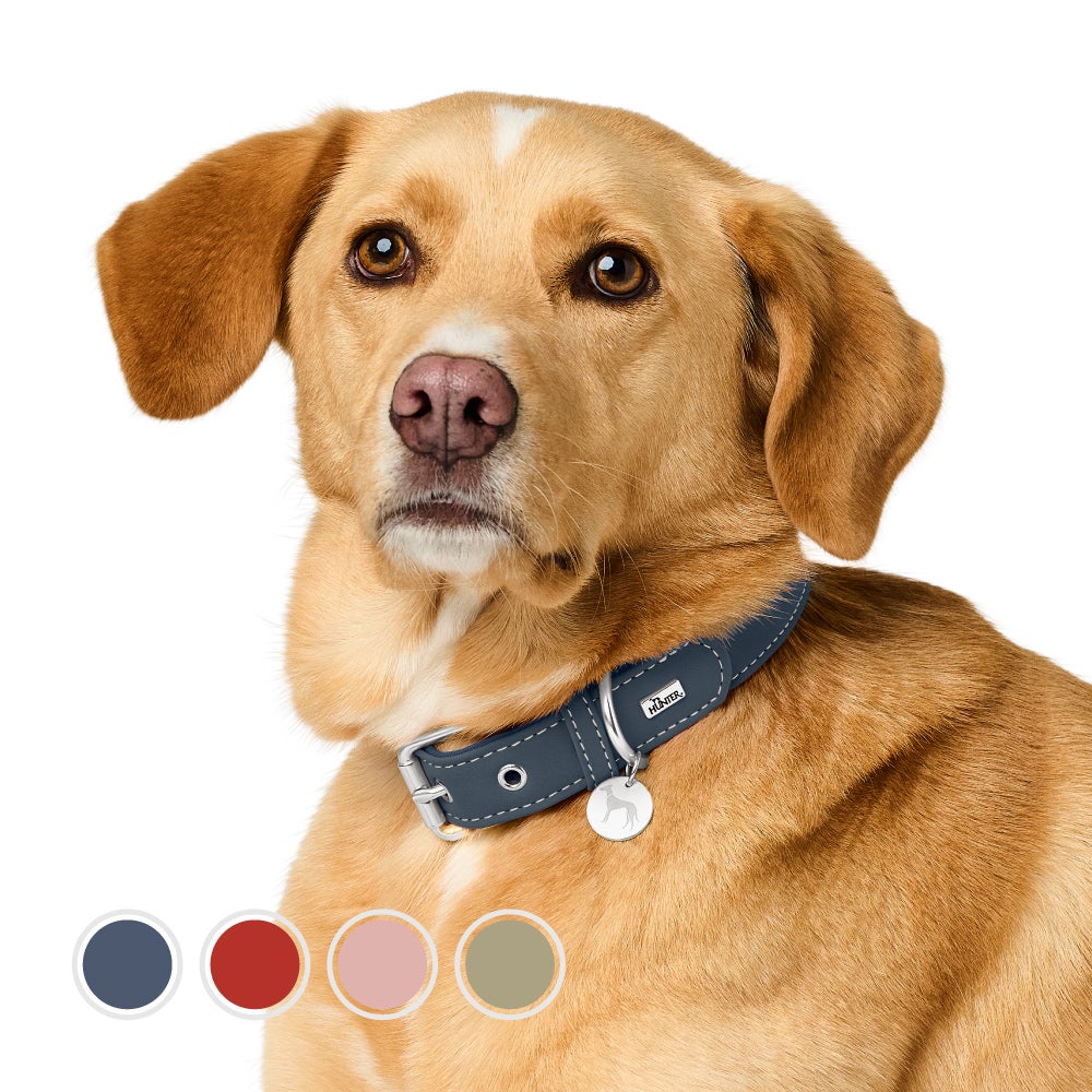 ハンター 犬用 首輪 カンヌ 40/XS-S | ジャーマンペット オンライン