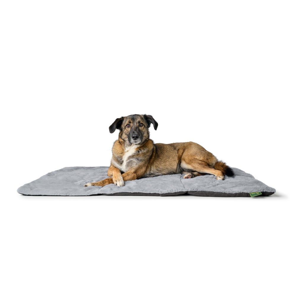【値下げ！】HUNTER Lサイズ　ベッド ハンター 犬用 猫用 ベッド ソファ エイビー 60x40 cm | ジャーマン