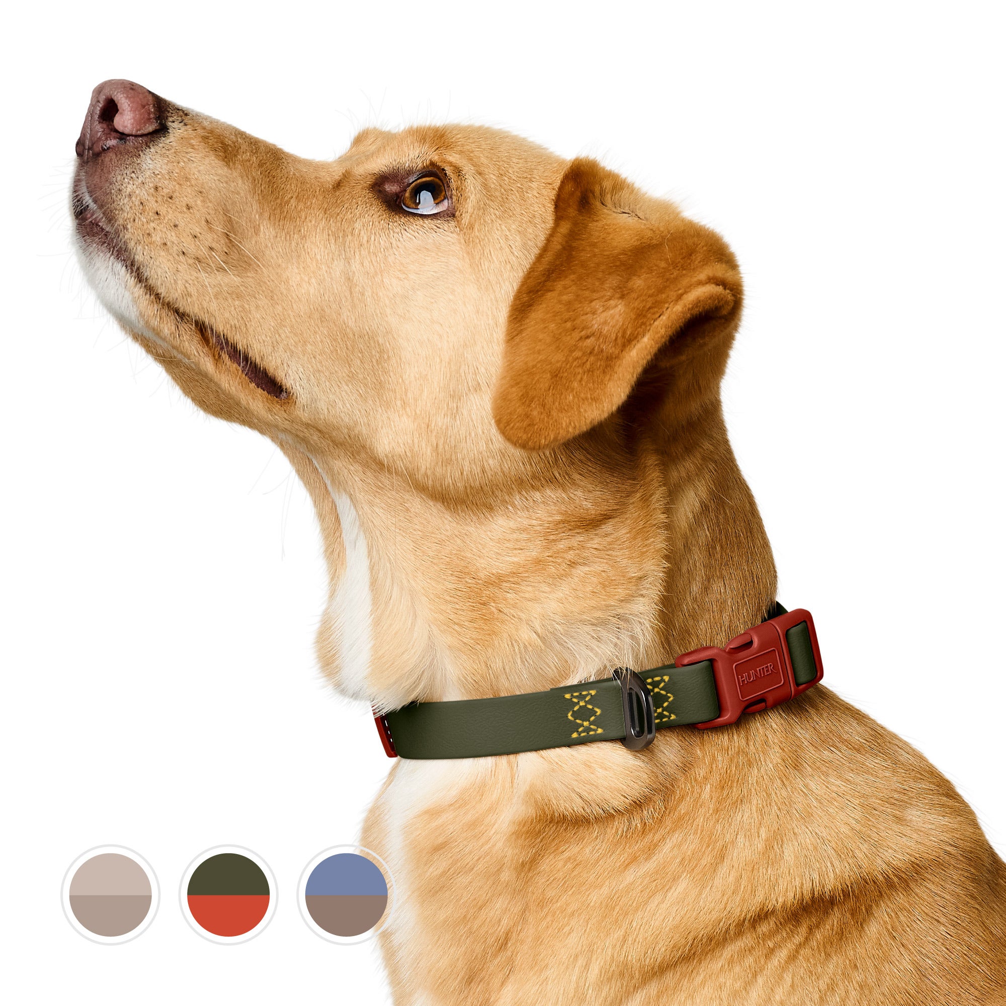 HUNTER 7月入荷：新商品が入荷！全天候対応の犬用首輪＆リード「ハバナ